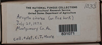 Image Associated With the Occurence